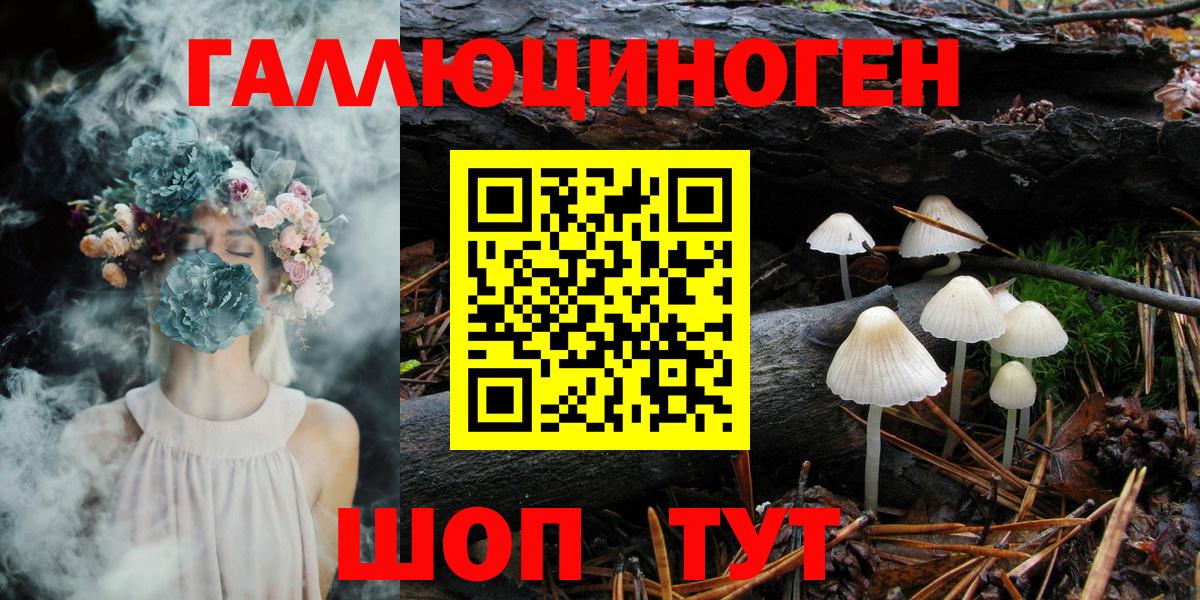 Галлюциногенные грибы прущие грибы  Псилоцибиновые грибы GOLDEN TEACHER  Славянск-на-Кубани  Вход с VPN 